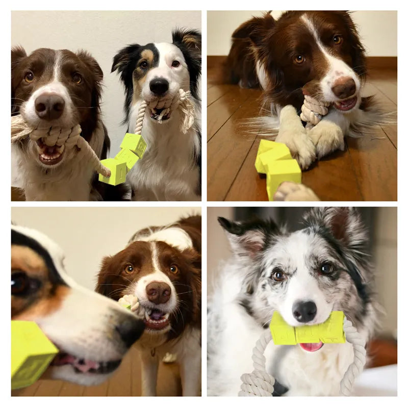 Gummiterninger på tau solid